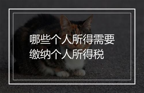 哪些个人所得需要缴纳个人所得税