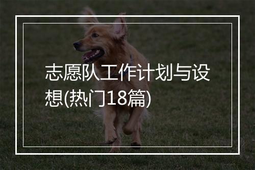 志愿队工作计划与设想(热门18篇)