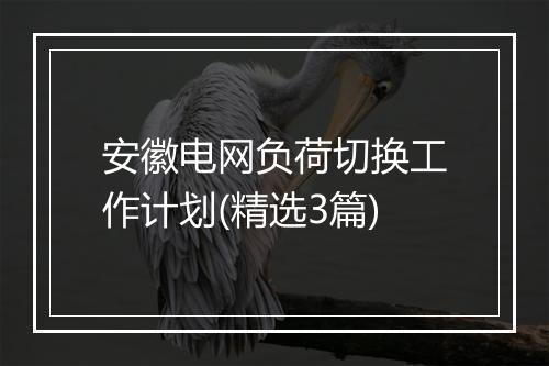安徽电网负荷切换工作计划(精选3篇)