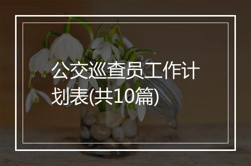 公交巡查员工作计划表(共10篇)