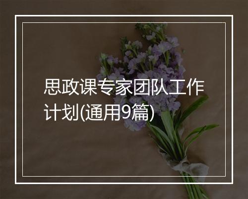 思政课专家团队工作计划(通用9篇)