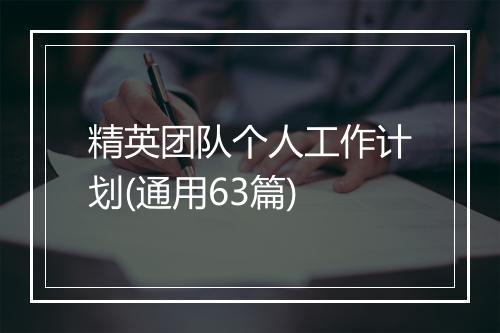 精英团队个人工作计划(通用63篇)