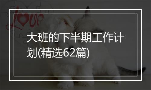 大班的下半期工作计划(精选62篇)