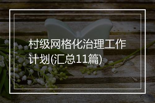 村级网格化治理工作计划(汇总11篇)