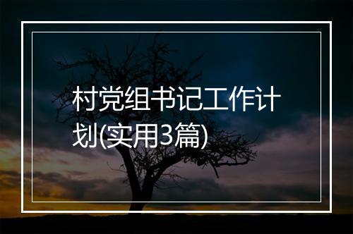 村党组书记工作计划(实用3篇)