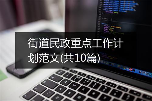 街道民政重点工作计划范文(共10篇)