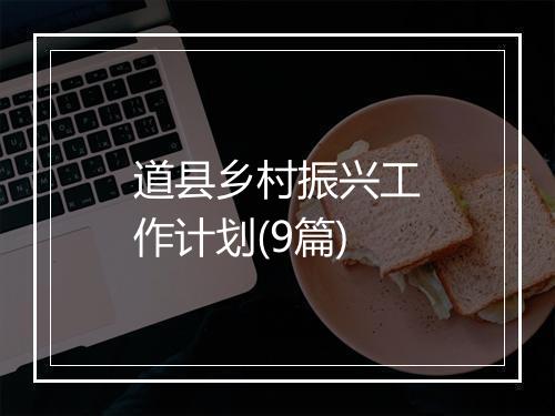 道县乡村振兴工作计划(9篇)