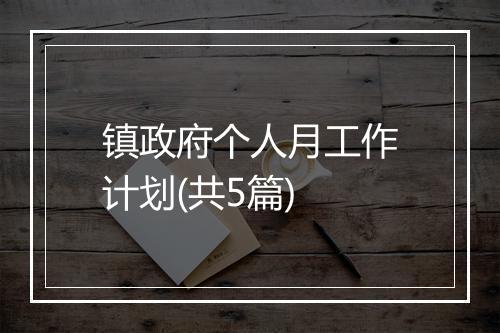 镇政府个人月工作计划(共5篇)