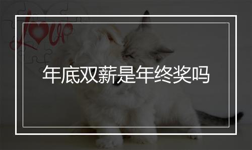 年底双薪是年终奖吗