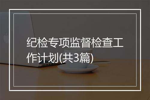 纪检专项监督检查工作计划(共3篇)