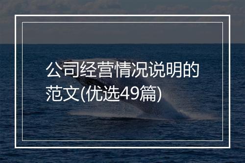 公司经营情况说明的范文(优选49篇)