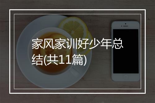 家风家训好少年总结(共11篇)