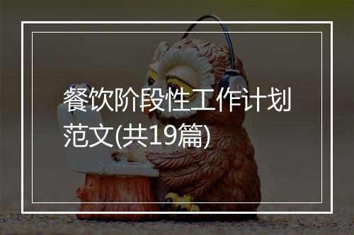 餐饮阶段性工作计划范文(共19篇)