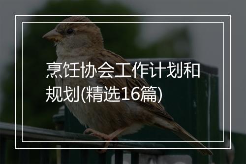 烹饪协会工作计划和规划(精选16篇)