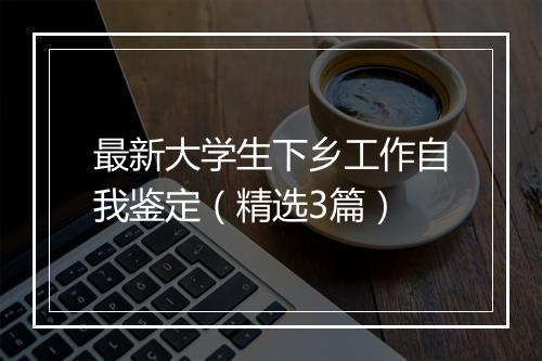 最新大学生下乡工作自我鉴定（精选3篇）