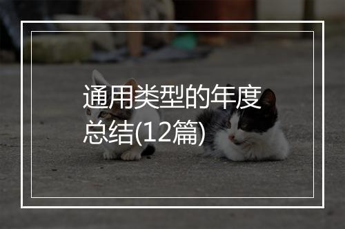 通用类型的年度总结(12篇)