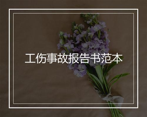 工伤事故报告书范本