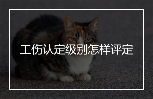 工伤认定级别怎样评定