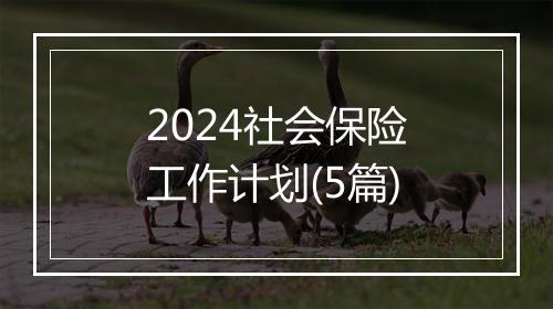 2024社会保险工作计划(5篇)