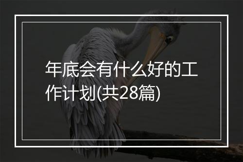 年底会有什么好的工作计划(共28篇)