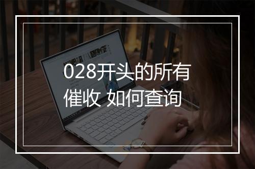 028开头的所有催收 如何查询