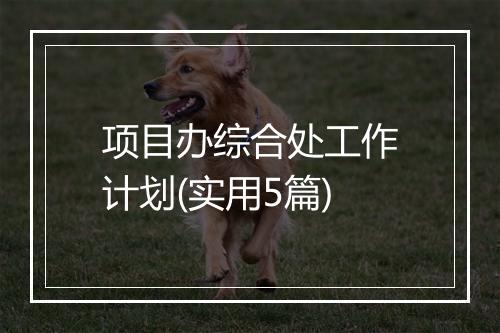 项目办综合处工作计划(实用5篇)