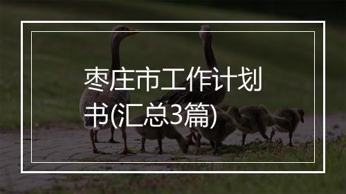枣庄市工作计划书(汇总3篇)