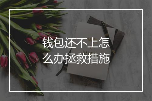 钱包还不上怎么办拯救措施