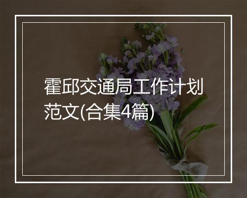 霍邱交通局工作计划范文(合集4篇)