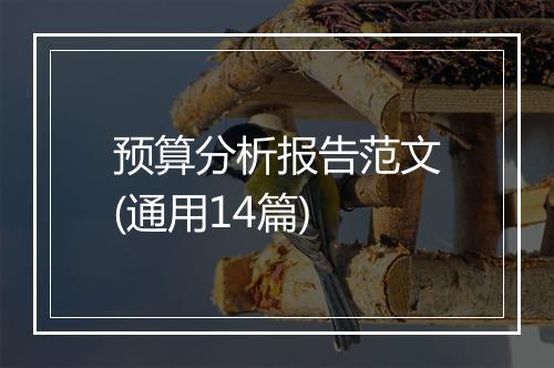 预算分析报告范文(通用14篇)