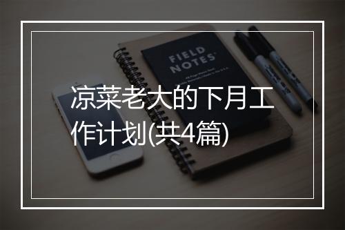 凉菜老大的下月工作计划(共4篇)