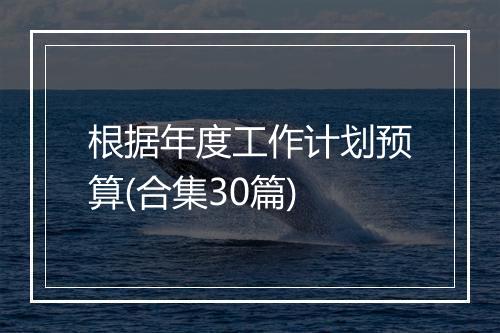 根据年度工作计划预算(合集30篇)