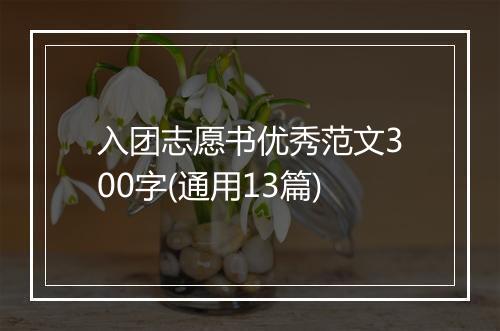 入团志愿书优秀范文300字(通用13篇)