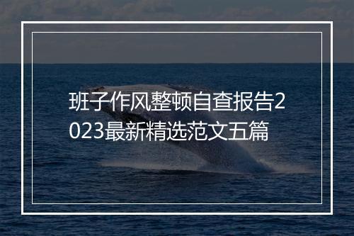 班子作风整顿自查报告2023最新精选范文五篇
