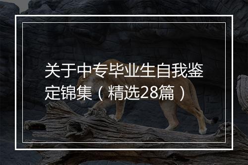 关于中专毕业生自我鉴定锦集（精选28篇）