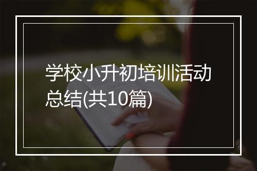 学校小升初培训活动总结(共10篇)