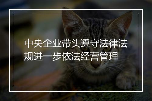 中央企业带头遵守法律法规进一步依法经营管理