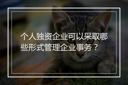 个人独资企业可以采取哪些形式管理企业事务？