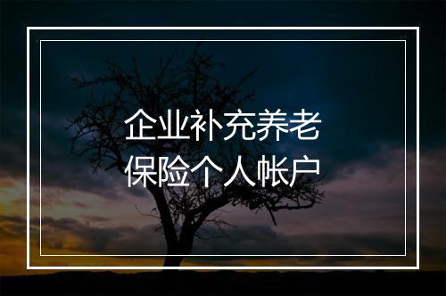 企业补充养老保险个人帐户