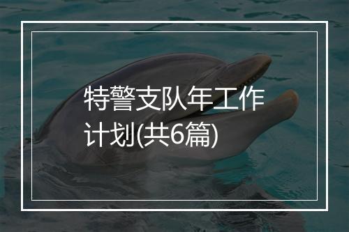 特警支队年工作计划(共6篇)