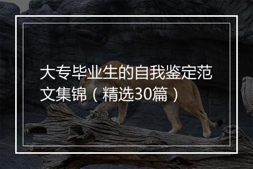 大专毕业生的自我鉴定范文集锦（精选30篇）