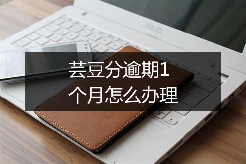 芸豆分逾期1个月怎么办理