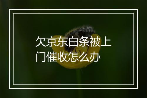 欠京东白条被上门催收怎么办