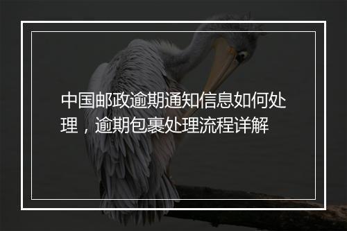 中国邮政逾期通知信息如何处理，逾期包裹处理流程详解