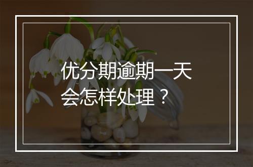 优分期逾期一天会怎样处理？