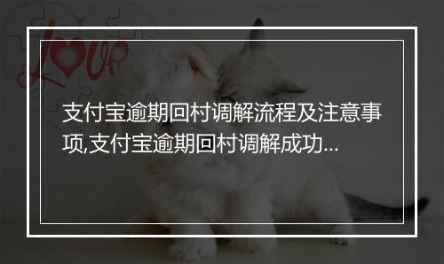 支付宝逾期回村调解流程及注意事项,支付宝逾期回村调解成功案例