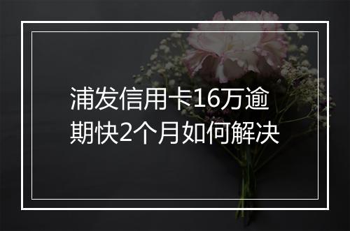 浦发信用卡16万逾期快2个月如何解决