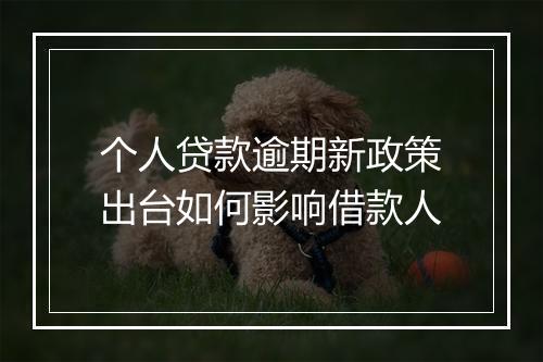 个人贷款逾期新政策出台如何影响借款人