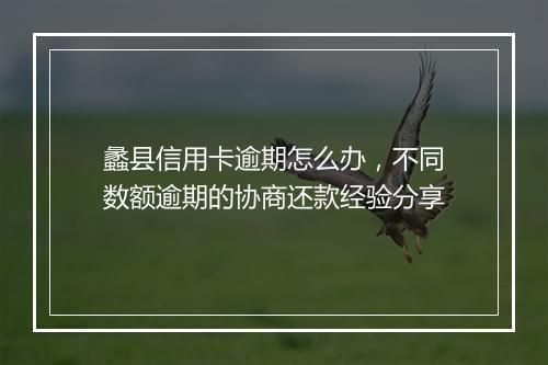 蠡县信用卡逾期怎么办，不同数额逾期的协商还款经验分享