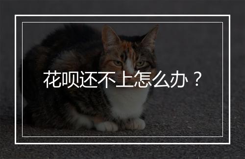 花呗还不上怎么办？